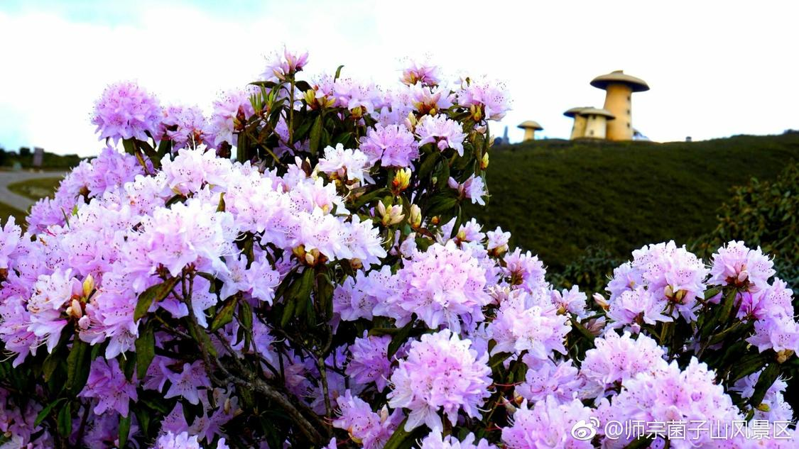 贸易战逼出外贸女老板的第二次创业