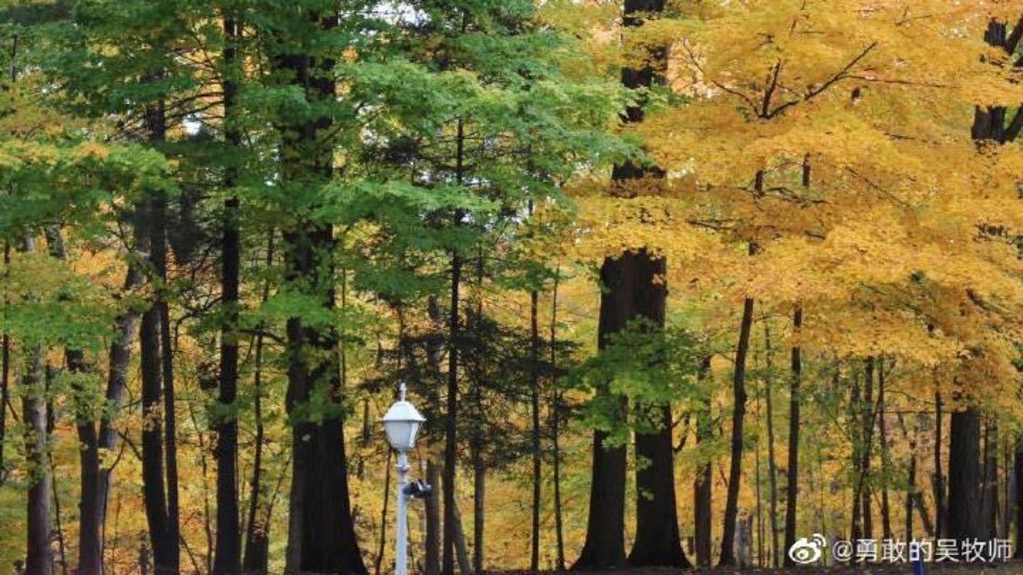 抖音双击网站自助下单